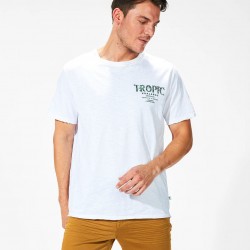 Herren T-Shirt mit kurzen Ärmeln aus Baumwolle - Tropicc